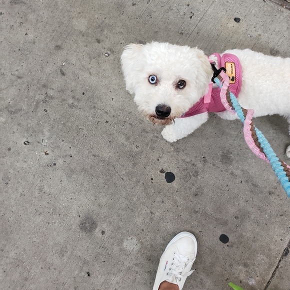 Meet your Posher, Sonia - Picture 2 of 3